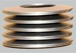 Προσαρμοσμένη άνοιξη δίσκου υψηλής ακρίβειας